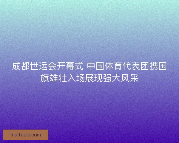 成都世运会开幕式 中国体育代表团携国旗雄壮入场展现强大风采