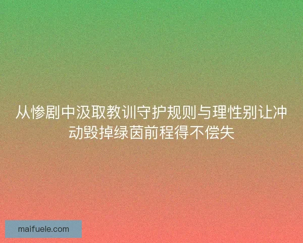 从惨剧中汲取教训守护规则与理性别让冲动毁掉绿茵前程得不偿失